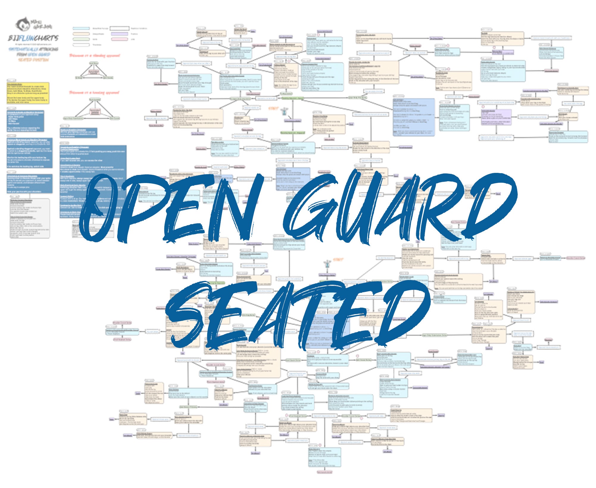 Systematically Attacking From Open Guard Supine Position – BJJ Fanatics