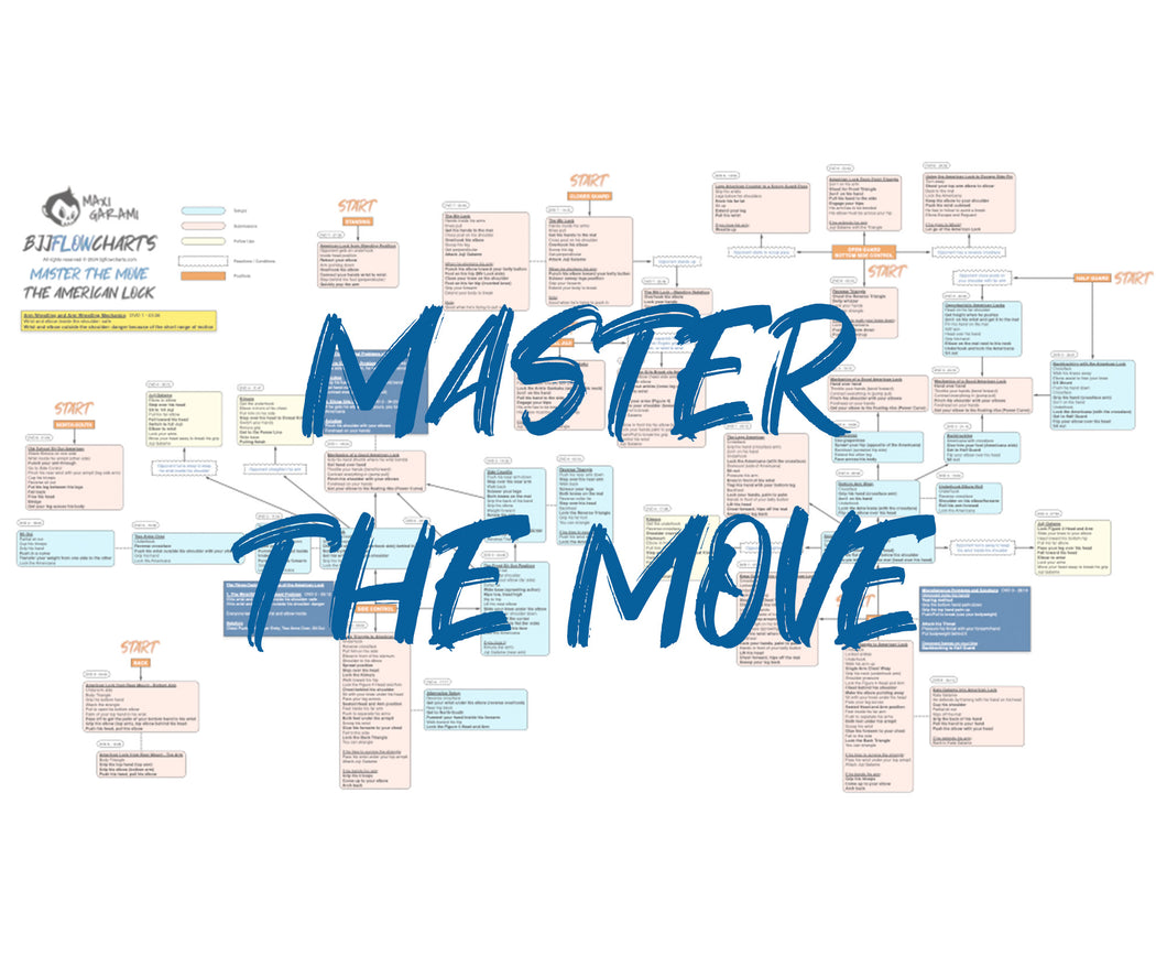 BJJFlowCharts-Bundle Master the Move