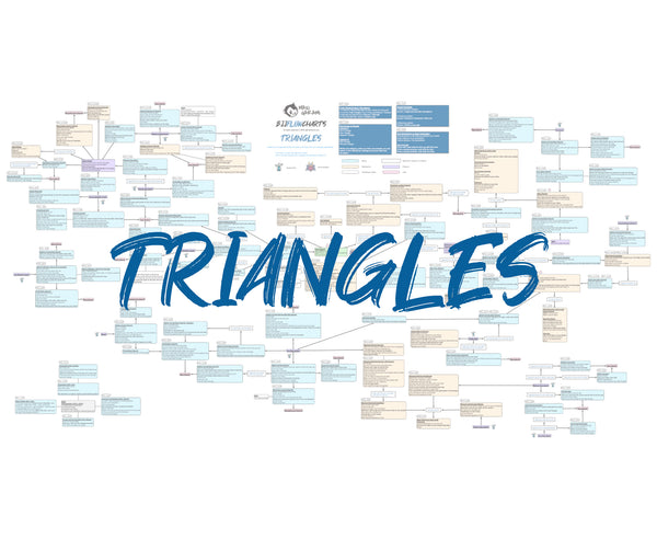 FlowChart - Triangles - Enter the System by John Danaher 